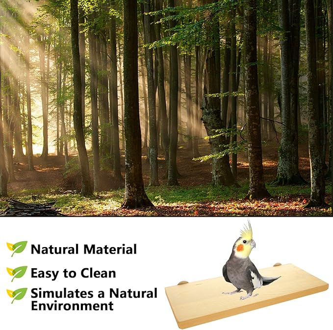 4 Pack 5 x 12 Inches Bird Perches - Image 4
