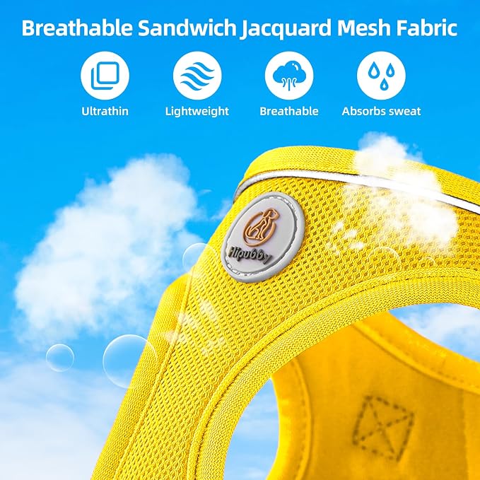 Hipubby Dog Harness and Leash Set, No Pull Soft Mesh Puppy Harness - Image 4