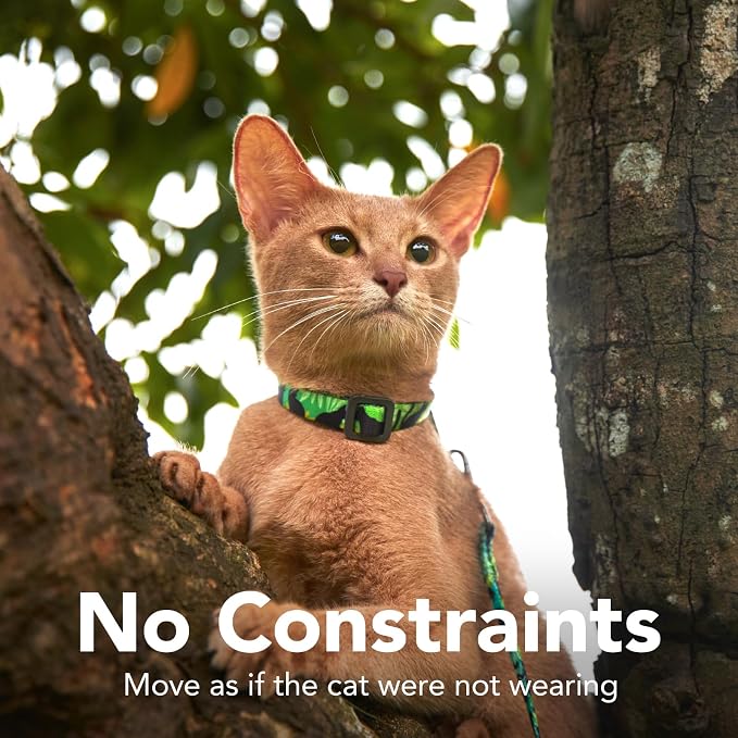 Cat Harness and Leash Set - Image 5