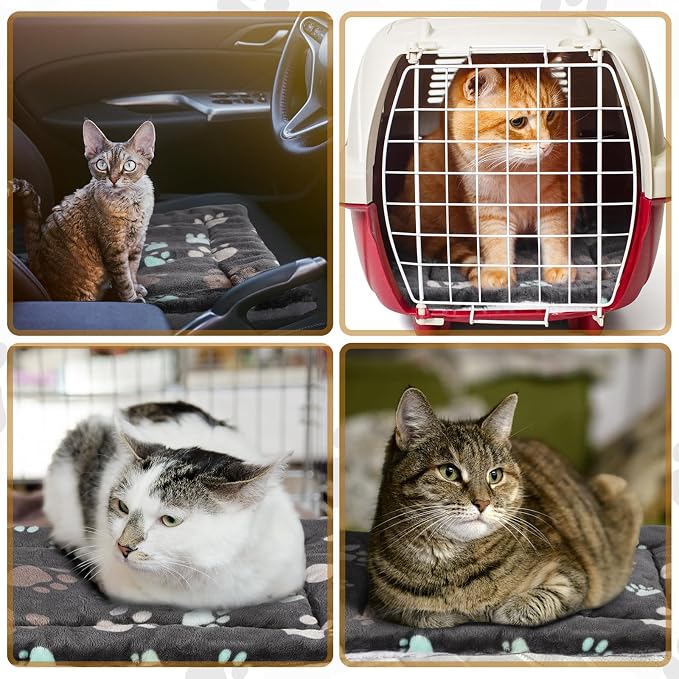 Tuanse 4 Pack Ultra Soft Dog Cat Bed Mat Small Animal Guinea Pig Bed - Image 7