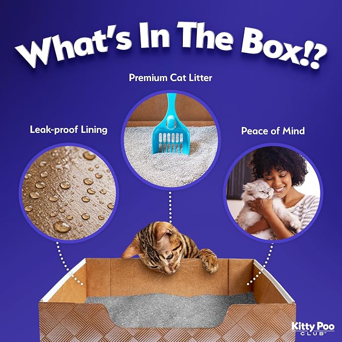 Leakproof Disposable 2-Pack Cat Litter Box - Image 2
