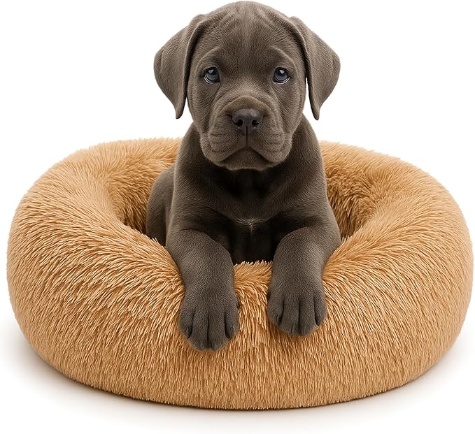 Calming Dog Bed by Shiny-V