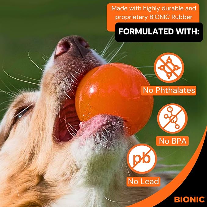 BIONIC Ball Dog Toy, Medium - Image 4
