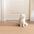 Uross Carpet Protector for Pets by Uross