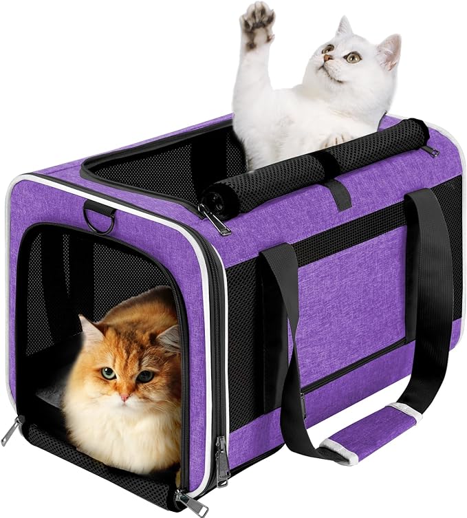 Pet Carrier for Large Cat 20 lbs+ / Soft Sided Small Dog 12 Pounds Travel Crate by GAPZER