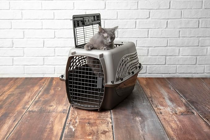 Petmate Dog Crates for Small Dogs & Cat Carriers, Two-Door Plastic Pet Kennel - Image 5