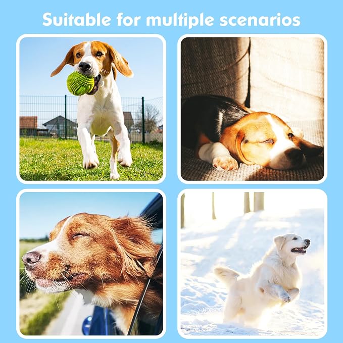 2-in-1 GPS Tracker for Dogs: Smart Collar - Image 8