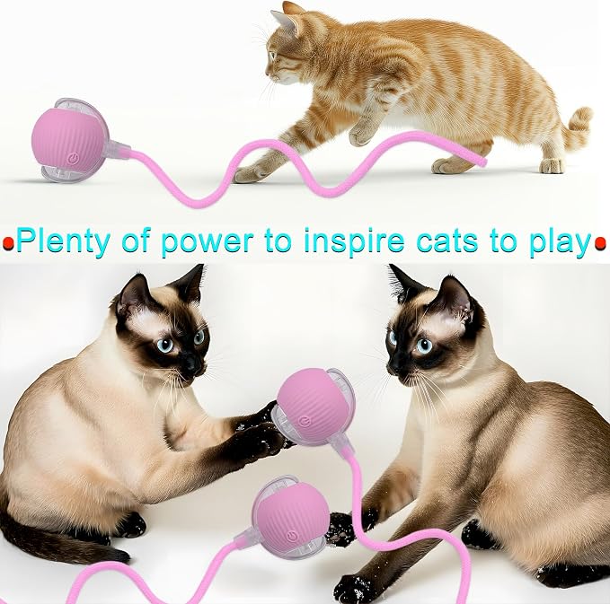 Interactive Cat Dog Toy Ball: Indoor Small Automatic Moving Smart Rolling Fun - Image 6