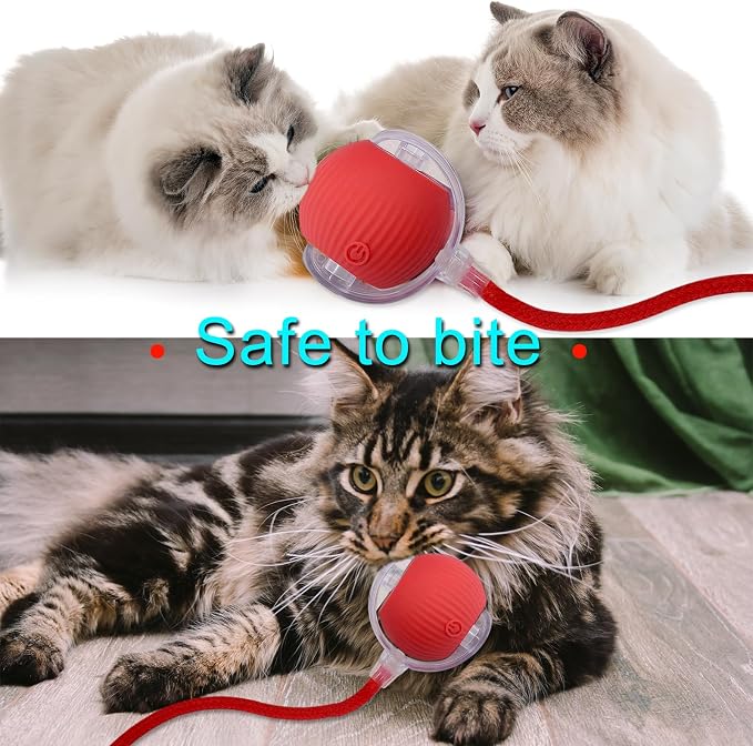 Interactive Cat Dog Toy Ball: Indoor Small Automatic Moving Smart Rolling Fun - Image 6