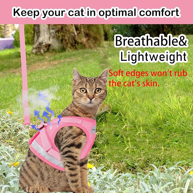 Cat Harnesses and Puppy Harness - Image 2