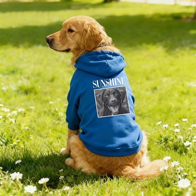 Personalized Name Dog Hoodie, Print Hoodies Pets Name, Custom Pet Memorial - Image 4