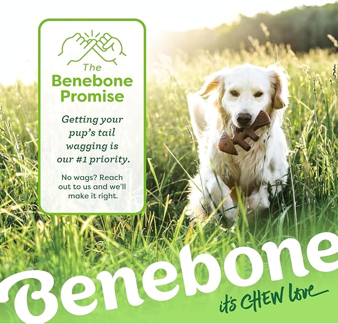 Benebone Fishbone Durable Dog Chew Toy - Image 6