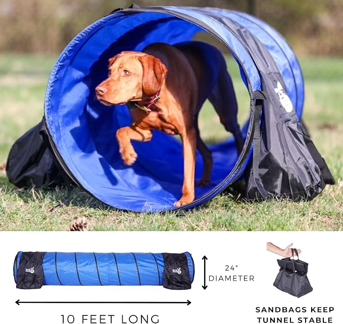 Better Sporting Dogs Agility Course Backyard Set - Image 5