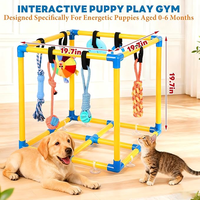 Puppy Play Gym for Small Dogs - Image 4