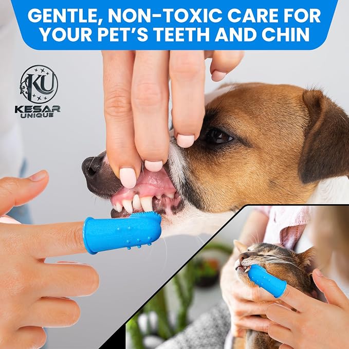 Dog Bathing Supplies – 8PCS Pet Shower & Grooming Kit - Image 6