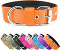 Heavy Duty Tactical Dog Collar by AaufiLux
