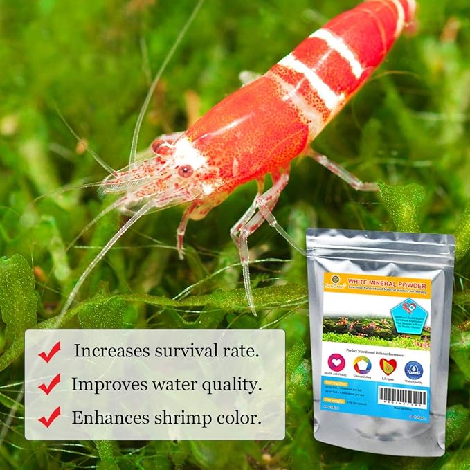 SunGrow Shrimp Calcium White Powder, Supports Healthy Molting, Improves Shell - Image 3