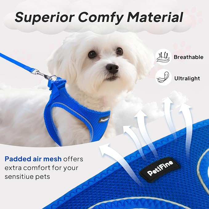 PetiFine Step in Small Dog Harness and Leash Set, Breathable All Weather Air - Image 2