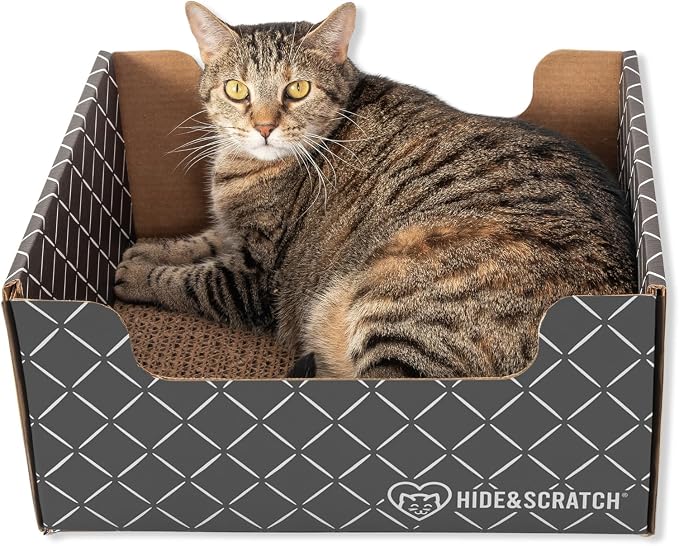 Hide & Scratch Cardboard Cat Scratcher Box & Bed by HideScratch