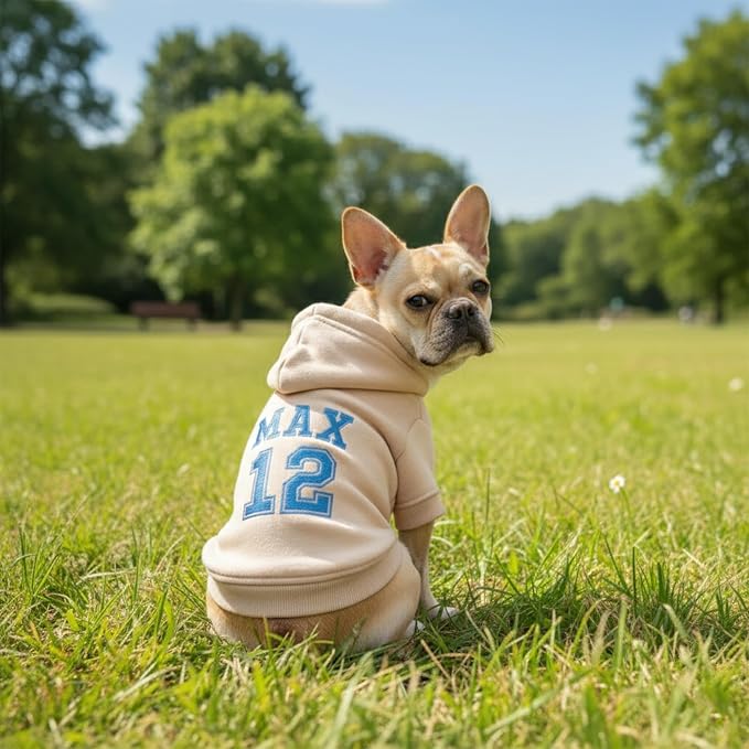 Personalized Dog Hoodie with Name/Text, Custom Embroidered or Printed Dog - Image 4