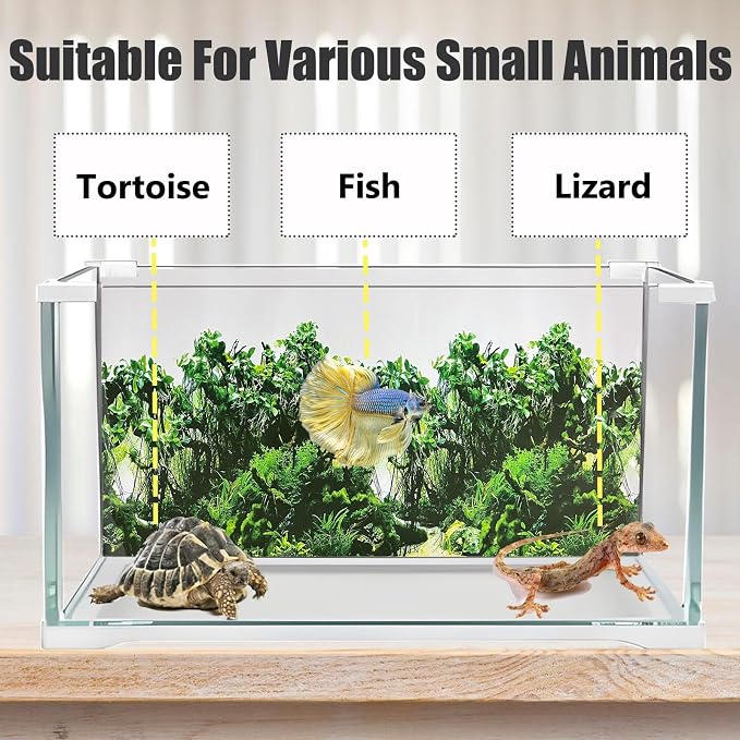 Fish Tank Background Sea Anemone Coral Theme Aquarium Background Poster Fish - Image 3