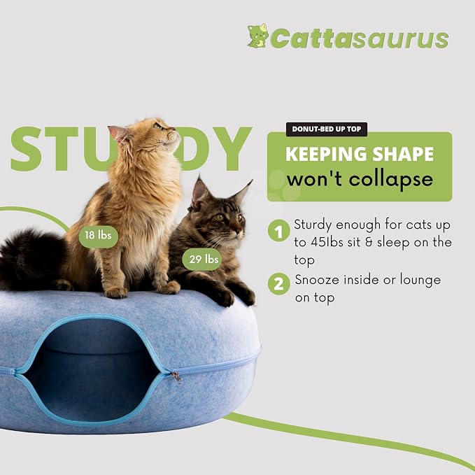 Cattasaurus Peekaboo Cat Cave Donut - Image 2