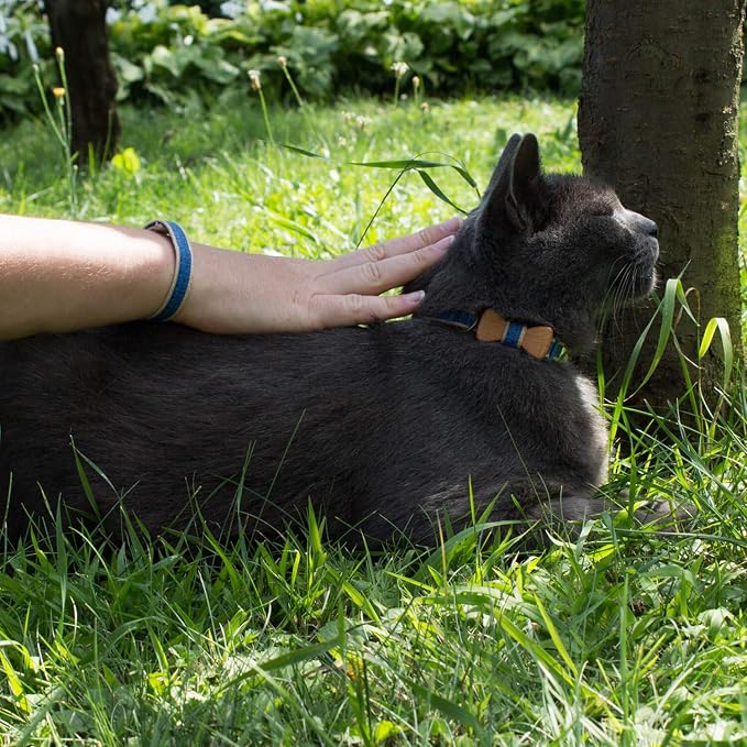 Pettsie Breakaway Cat Collar - Image 4