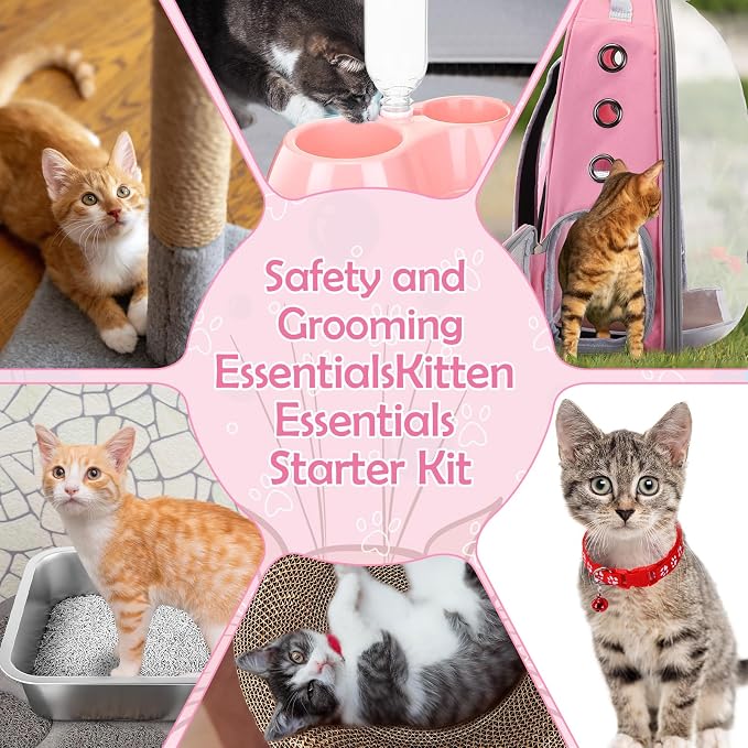 31 Pcs Kitten Supplies Starter Kit Kitten Essentials Starter Kit Include - Image 5