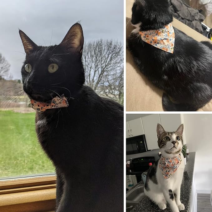 ADOGGYGO Floral Cat Collar - Image 3