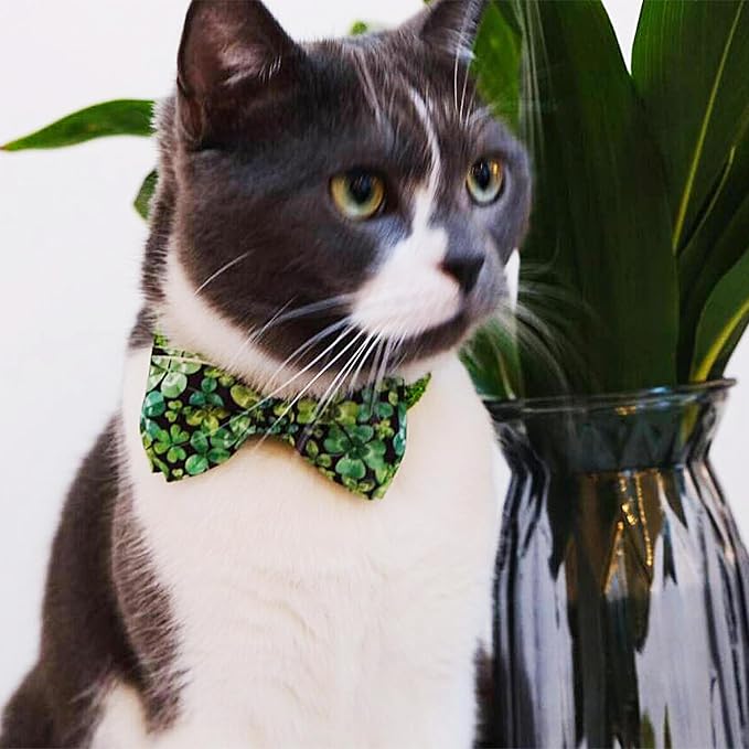 2 Pack St. Patrick's Day Irish Cat Collar - Image 4