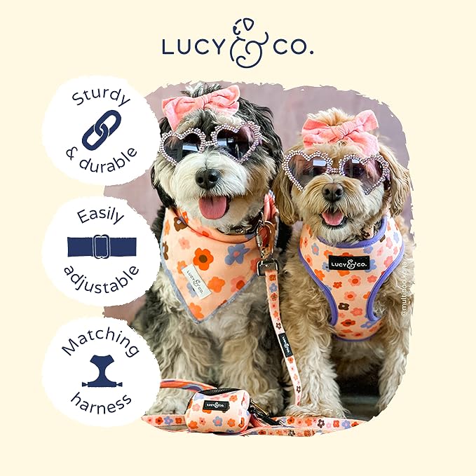 Lucy & Co. Let's Groove Dog Collar - Image 3