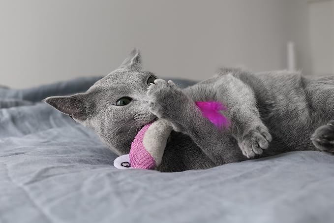Catstages Petstages Dental Shrimpies Catnip Cat Chew Toy - Image 6