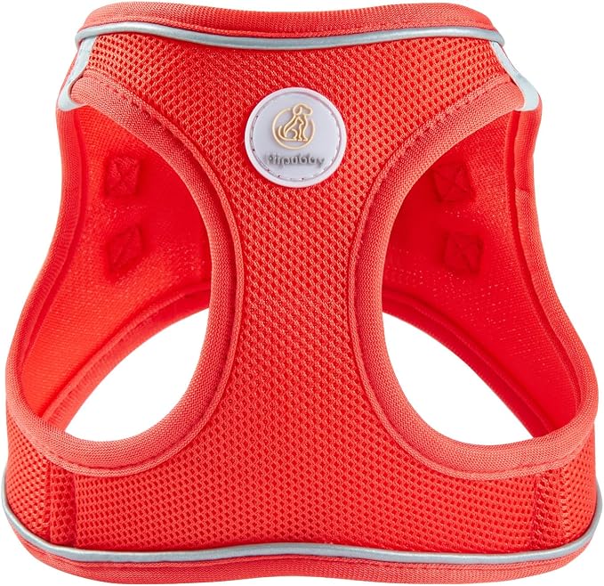 Hipubby Dog Harness and Leash Set, No Pull Soft Mesh Puppy Harness - Image 2