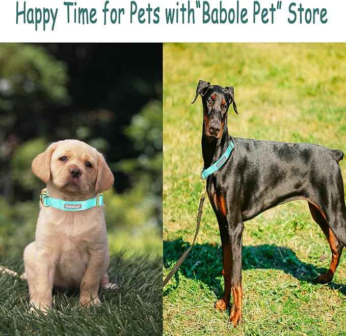 Nylon Dog Collar