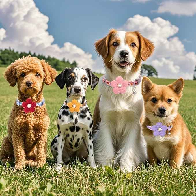 Medium Dog Collar with Flower, Dog Collars