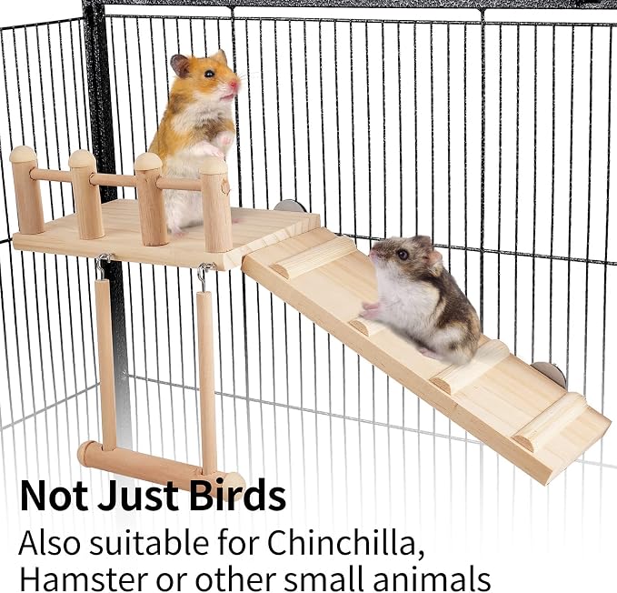 Bird Perches Platform Swing - Image 5