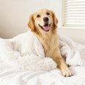 gogobunny Waterproof Dog Blanket by gogobunny
