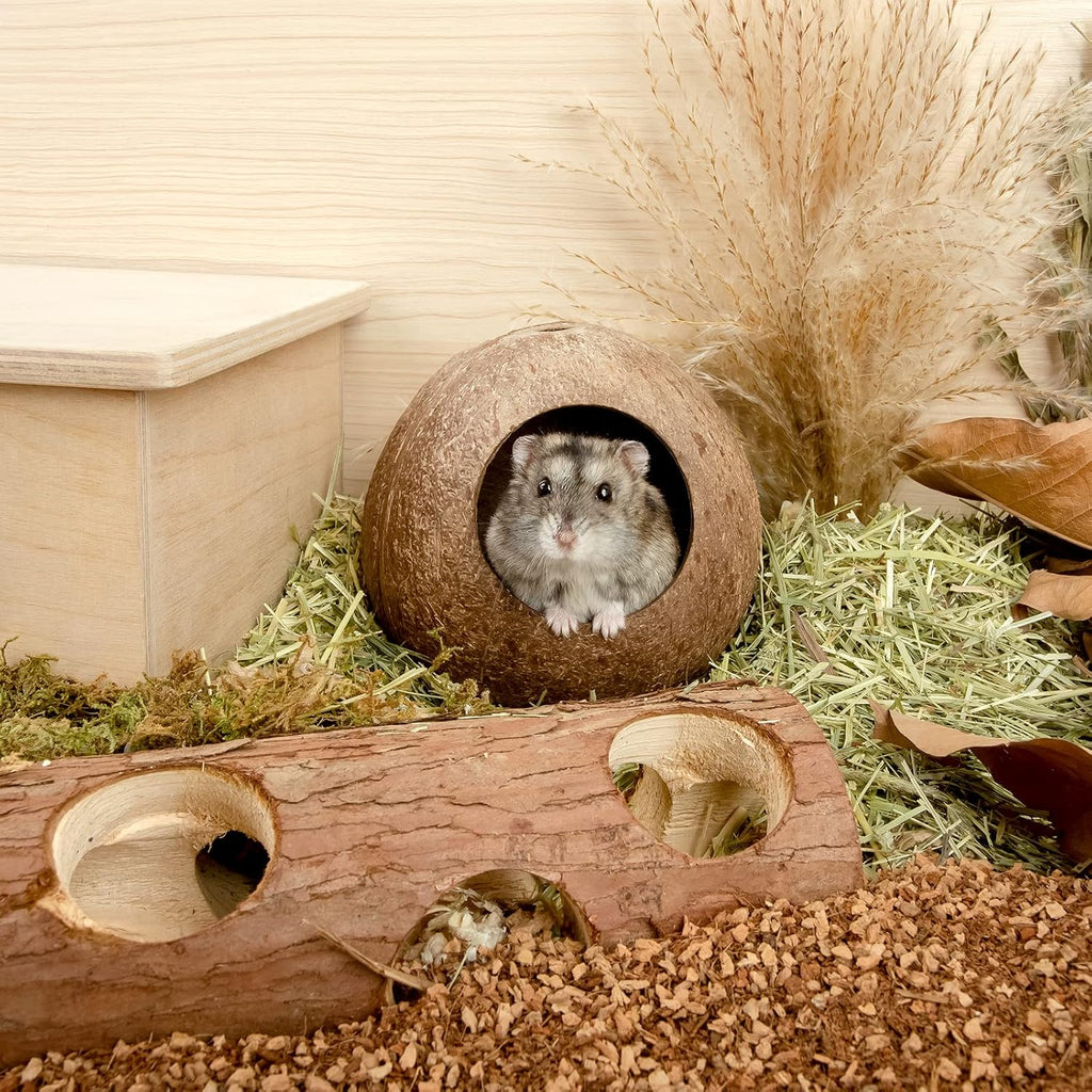 andwe Coconut Hut Hamster House, Small Animal Cage Decor - GlobalHabitat Supply