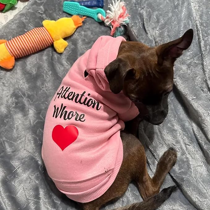 Custom Text & Logo Dog Hoodie, Embroidery Pet Sweaters - Image 5