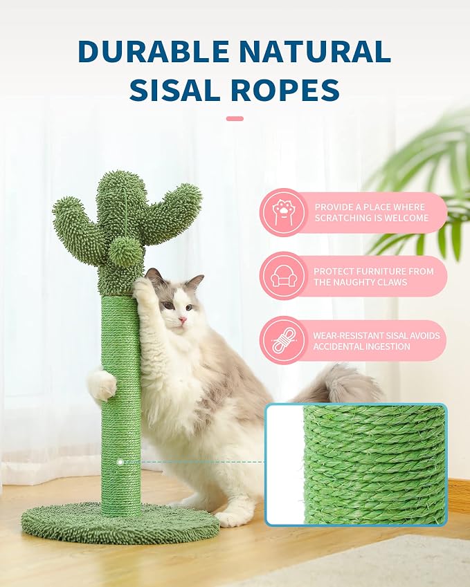 Made4Pets Cat Scratching Post, 25.6" Cactus Cat Scratcher Kitten Scratch Post - Image 4