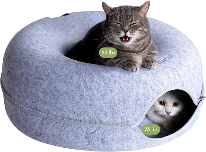 Cattasaurus Peekaboo Cat Cave Donut by Cattasaurus