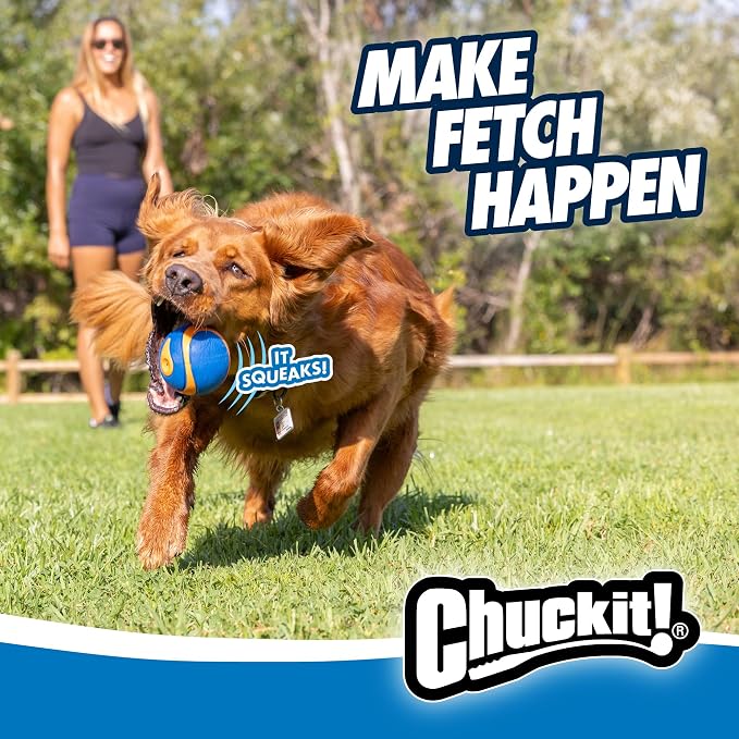 Chuckit Ultra Squeaker Dog Ball - Image 5