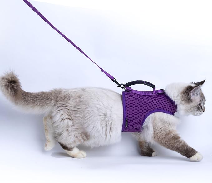Cat Harness and Leash for Walking Escape Proof Breathable Mesh Fabric, Extra by Yizhi+Miaow