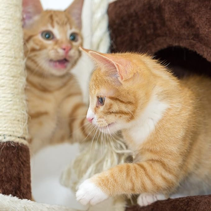 3-Tier Cat Tower - Image 5