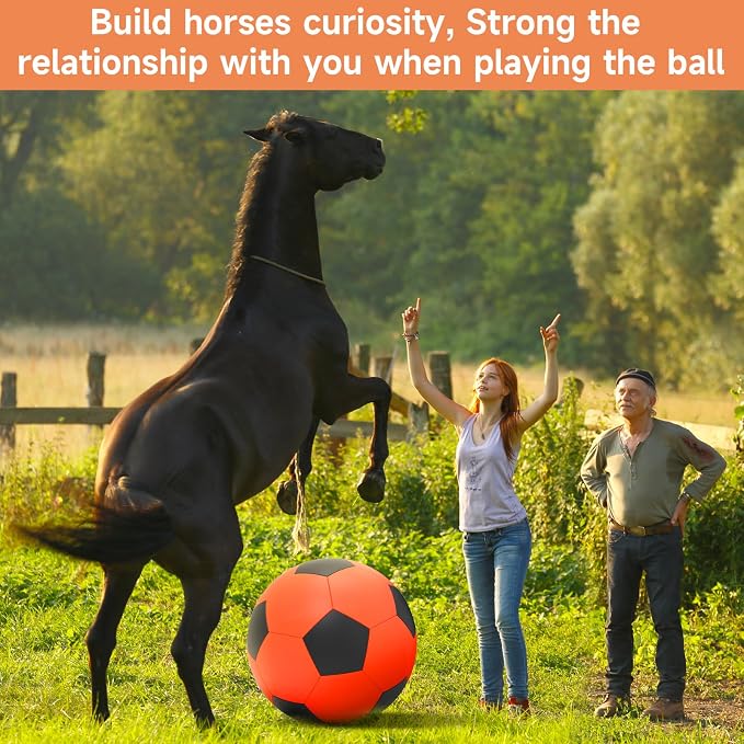 QDAN Herding Ball for Dogs, 25 inch Dog Balls, Giant Dog Toys Horse Toy - Image 7