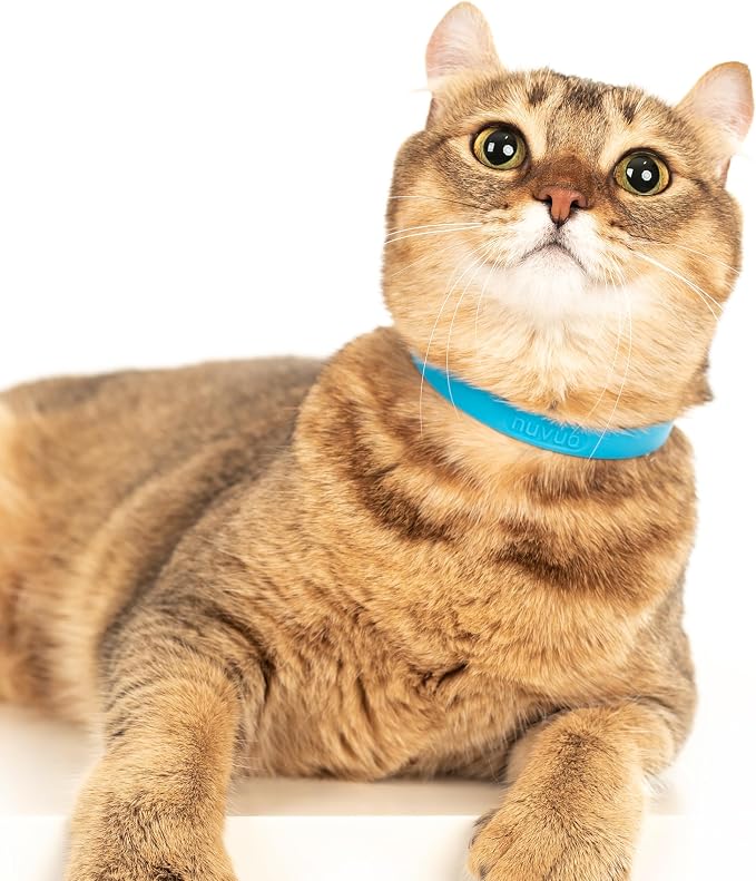 Nuvuq Breakaway Cat Collar - Image 7