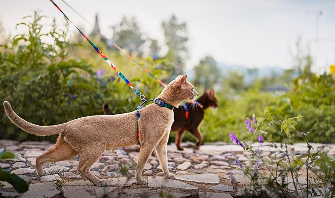 pidan Cat Harness and Leash Set, Cats Escape Proof - Image 8