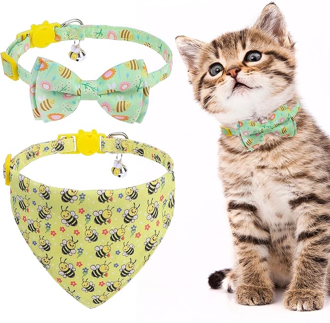EXPAWLORER Spring Cat Collar Breakaway by EXPAWLORER