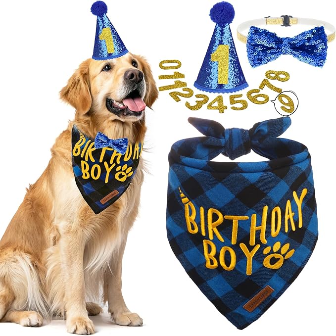 EXPAWLORER Dog Birthday Party Supplies by EXPAWLORER