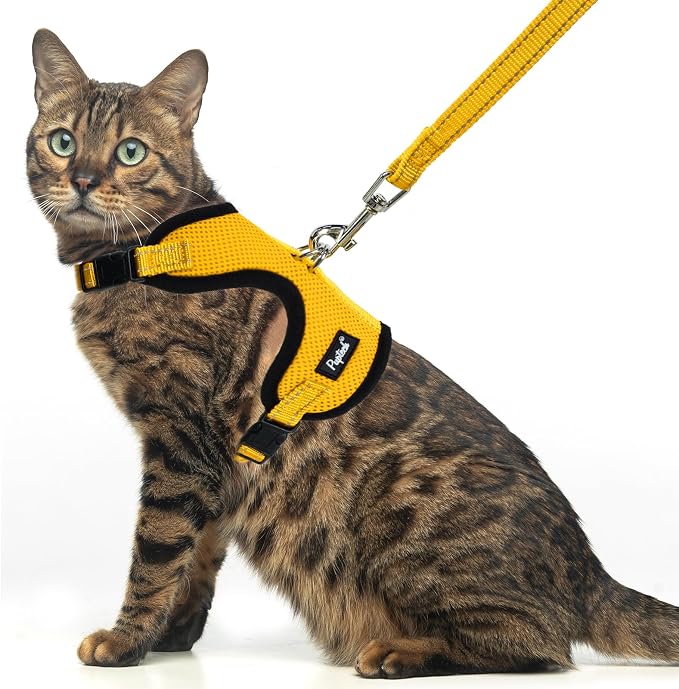 PUPTECK Cat Harness and Leash Set Escape Proof, Reflective Adjustable Soft Mesh by PUPTECK